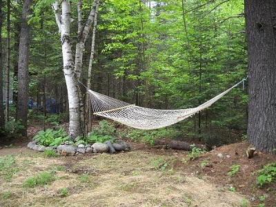 hammock hanging in back yard